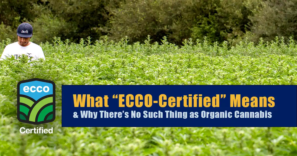 Jetty-Extracts-OCal-ECCO-Certified-Organic-Cannabis